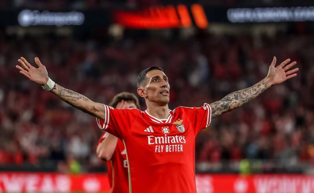 星空体育关于赛地聚焦：国王杯今晚热度飙升，多伦多猛龙临场应变，气氛紧张，数据趋势出现新变化的信息